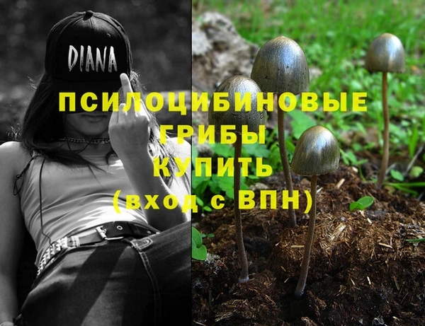 стаф Алексеевка