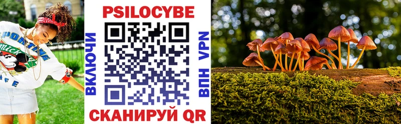 MEGA зеркало  сколько стоит  Сосенский  Псилоцибиновые грибы Cubensis 