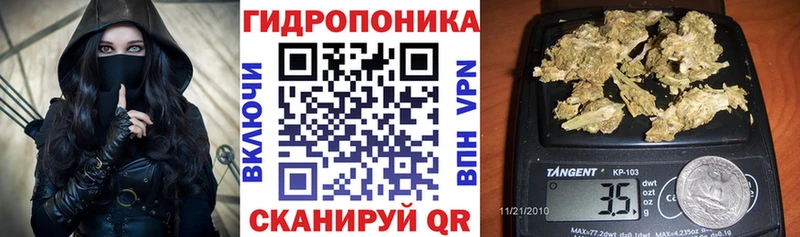 Канабис ГИДРОПОН  Сосенский 